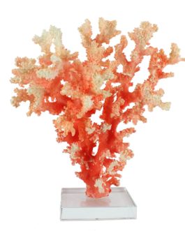 Decorative Coral Sculpture with Crystal Base