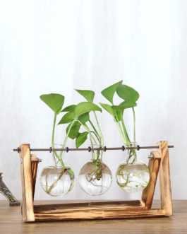 Modern Creative Plant Vases