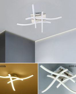 Forked Shaped 3 and 4 Branches Ceiling Light