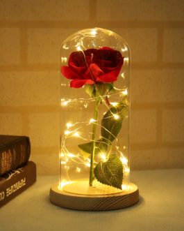 Rose In Flask LED Light Lamp