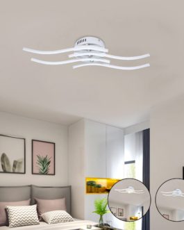 Curved Design Ceiling Light