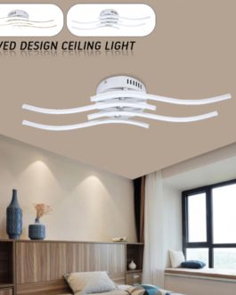 Curved Design Ceiling Light