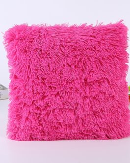 Decorative Throw Cushion Cover