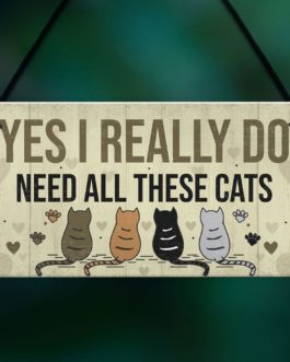 Love Cat Sign Wooden Plaque