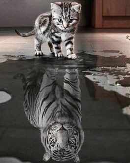 Cat and Tiger Diamond Embroidery Painting