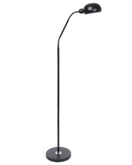 Goose-neck Floor Lamp Eye LED