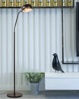 Goose-neck Floor Lamp Eye LED