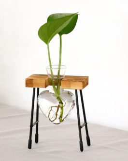 Heart Shape Glass Hydroponic Vase