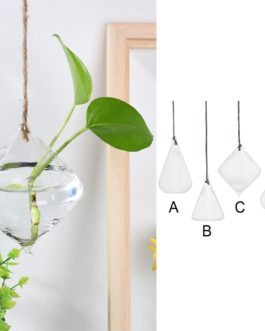 Hanging Glass Ball Vase