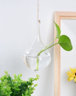 Hanging Glass Ball Vase