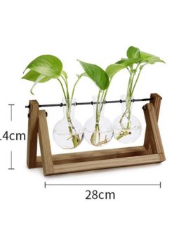 Modern Creative Plant Vases